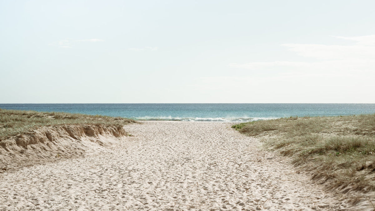 Sandy path through grassy dunes leading down to the ocean